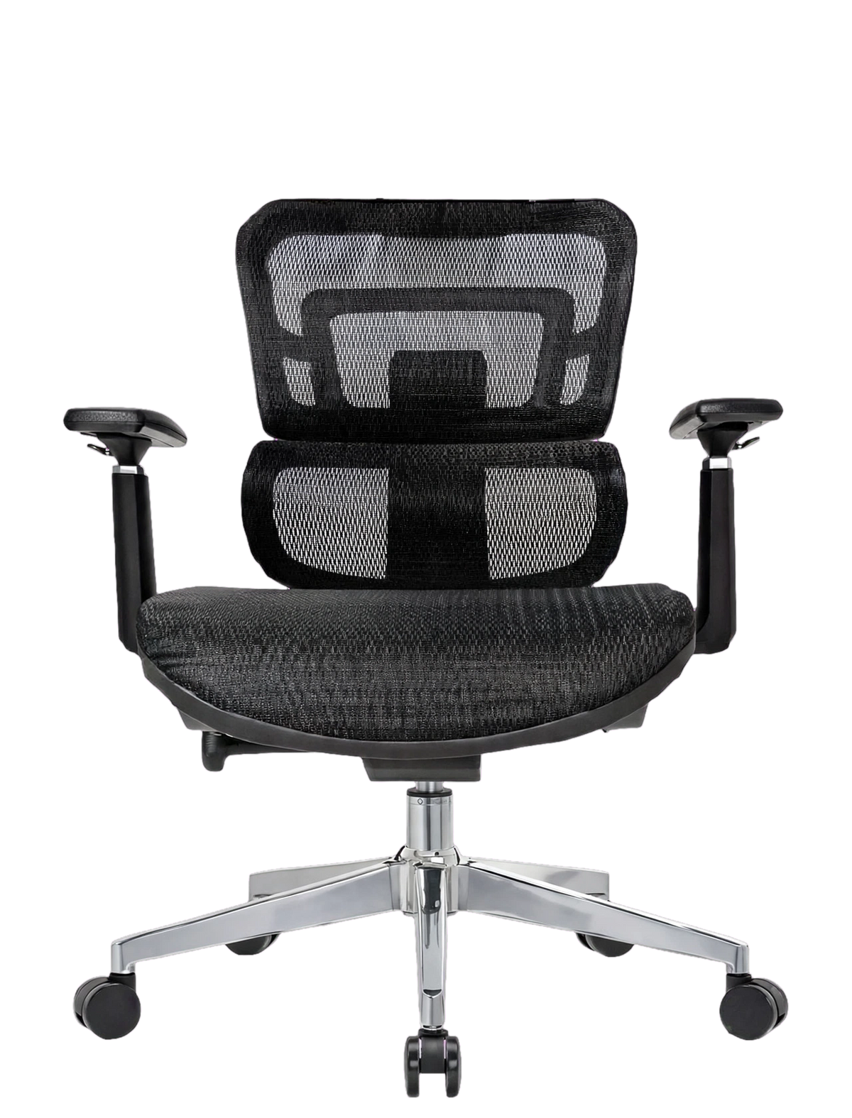 ZOE Plus Baja | IPEG GROUP
