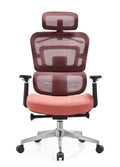 ZOE Alta coral | IPEG GROUP